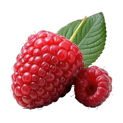 Glycovit™ Raspberry Ketones ingredient for metabolism and energy support